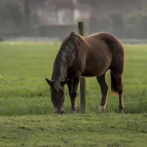Séjour à la ferme Al Botteniga, Trévise